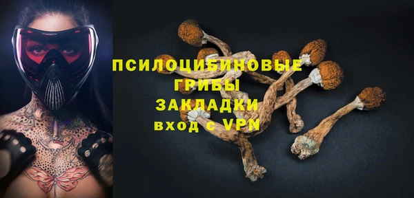 дурь Горно-Алтайск