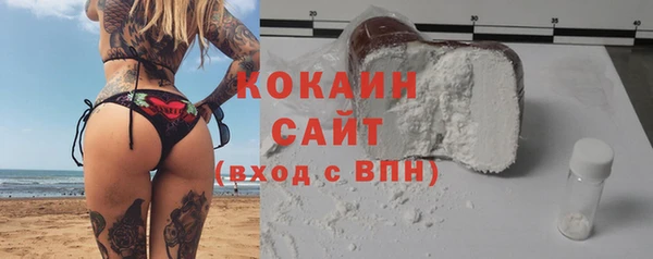 хмурый Горняк