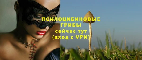 хмурый Горняк