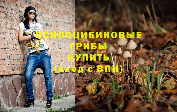 хмурый Горняк