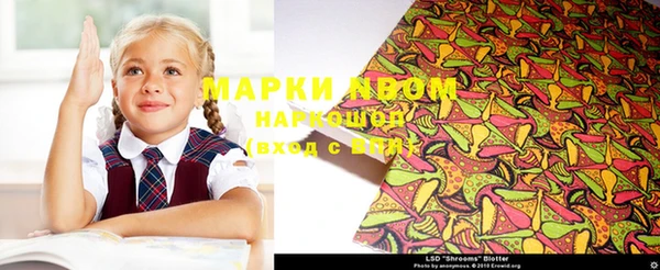 хмурый Горняк