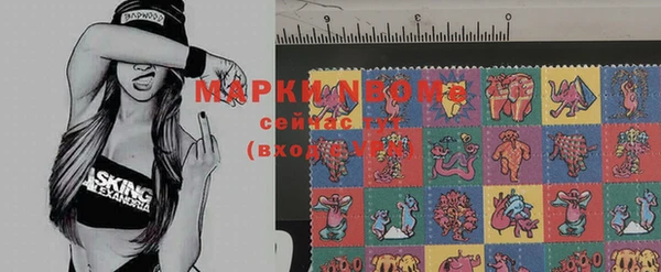 хмурый Горняк