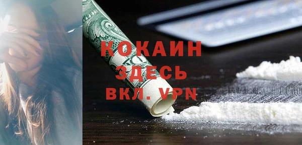 дурь Горно-Алтайск