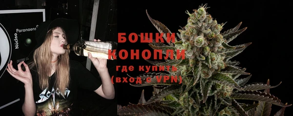 стаф Горнозаводск